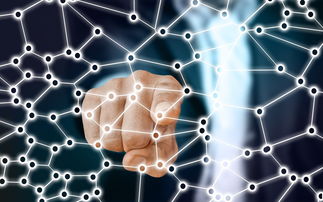 华体会网页登陆-中国篮球职业联赛市场竞争策略分析，我国篮球职业联赛