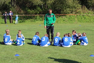 华体会-中国篮球教练员战术创新能力培养研究，篮球教练员职业素养的三大核心